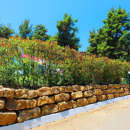 Ariadni Villa Sani Sani  エクステリア 写真