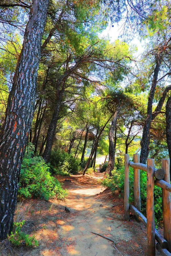 Ariadni Villa Sani Sani  エクステリア 写真