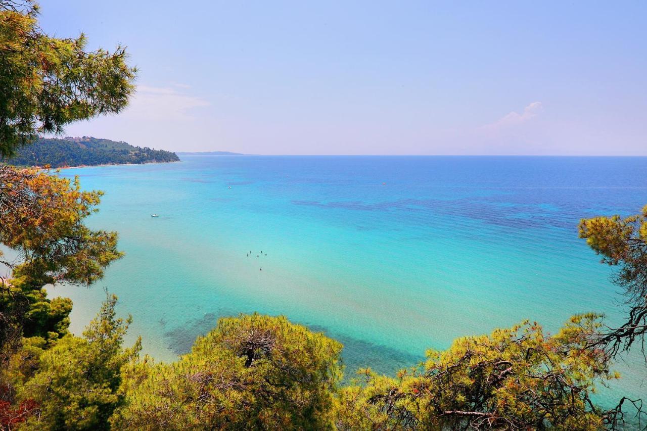 Ariadni Villa Sani Sani  エクステリア 写真